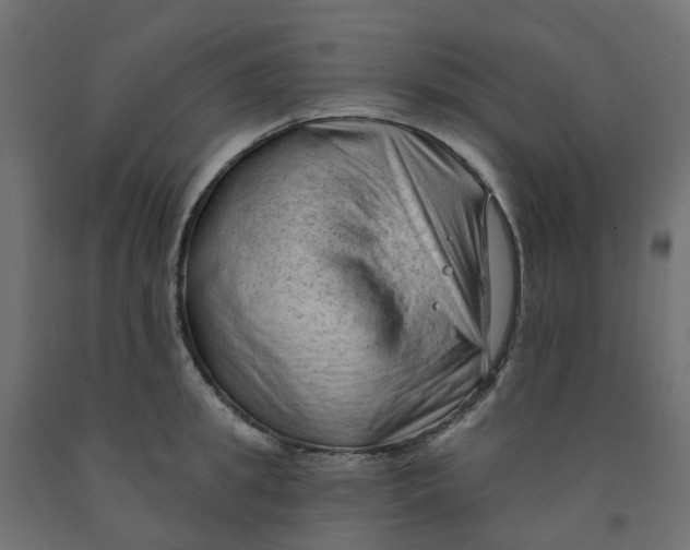 X0000091970949200710041046