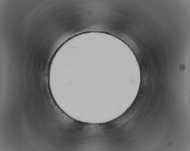 X0000091970950200710041046