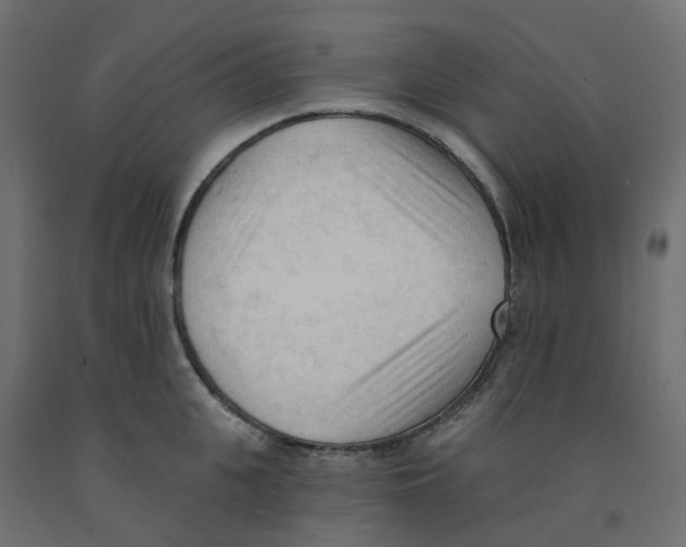 X0000091970951200710041046