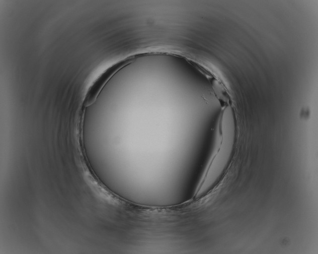 X0000091970952200710041046