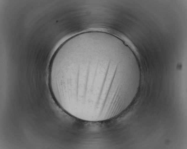 X0000091970955200710041046