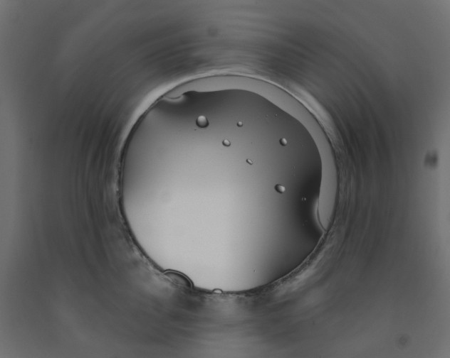 X0000091970956200710041046