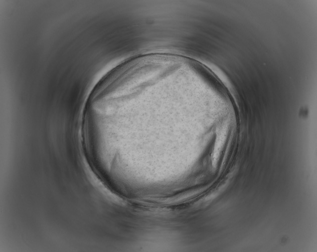 X0000091970957200710041046