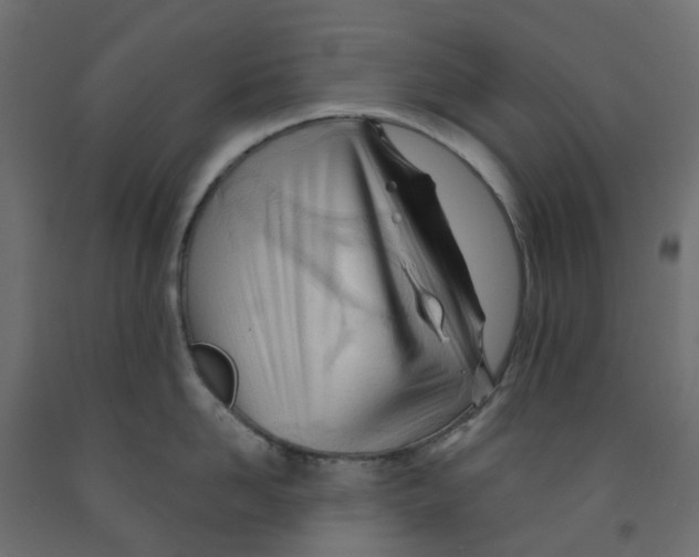 X0000091970958200710041046