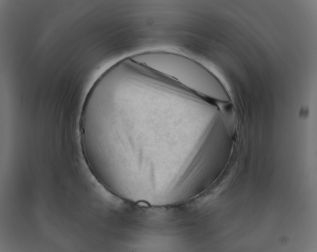 X0000091970959200710041046