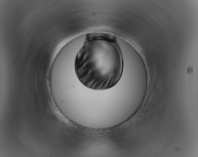 X0000091970960200710041046