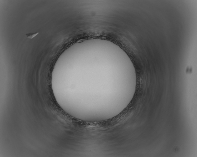 X0000091970961200710041045