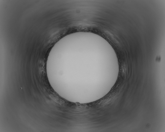 X0000091970964200710041045