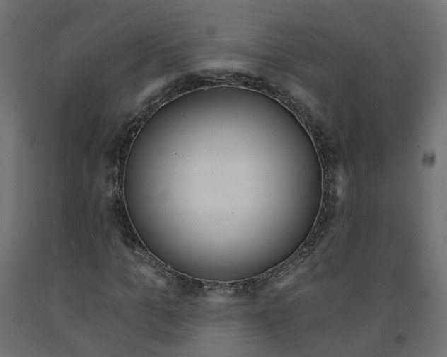 X0000091970965200710041045