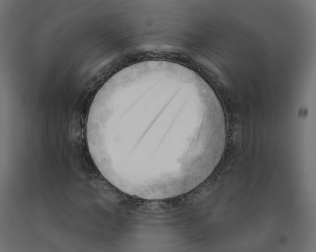 X0000091970966200710041045