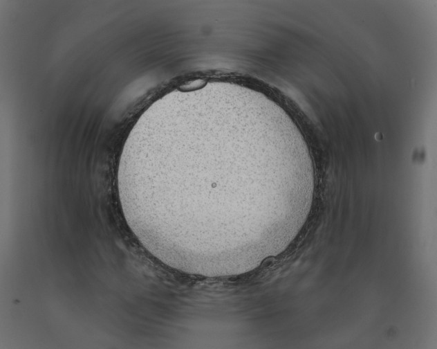 X0000091970967200710041045