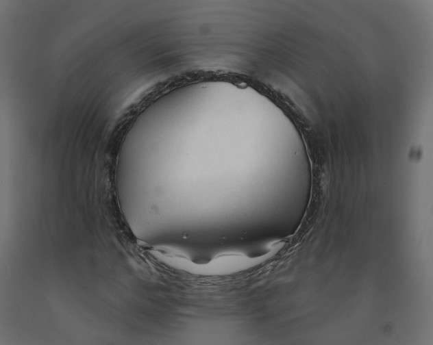 X0000091970968200710041045