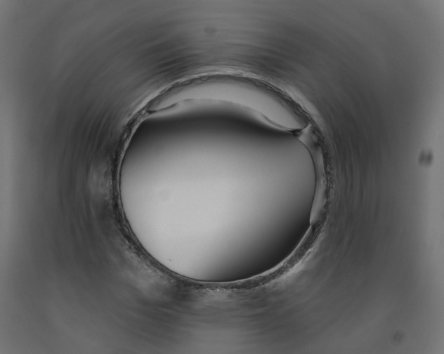X0000091970969200710041045