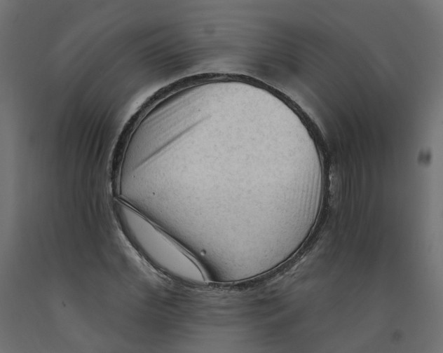 X0000091970972200710041045