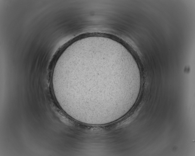 X0000091970974200710041045