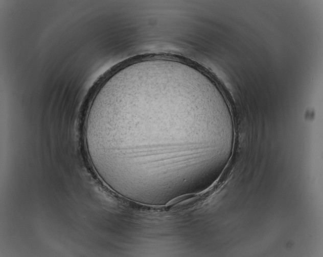 X0000091970975200710041045