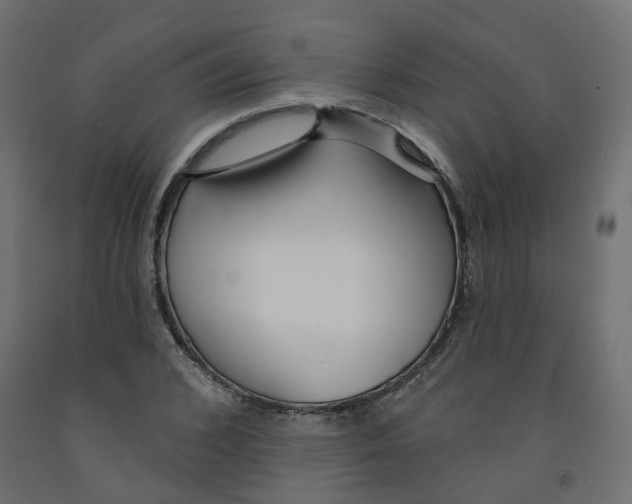 X0000091970976200710041045