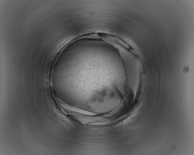 X0000091970977200710041045