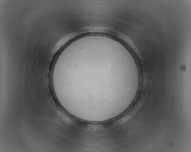 X0000091970978200710041045