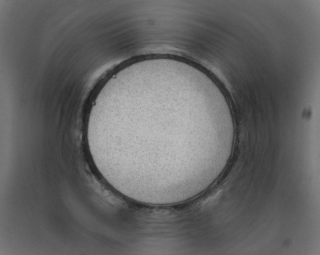 X0000091970979200710041045