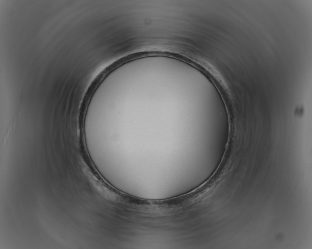 X0000091970980200710041045