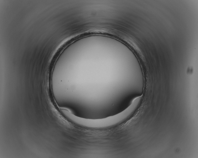X0000091970984200710041045