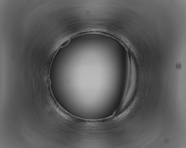 X0000091970985200710041045