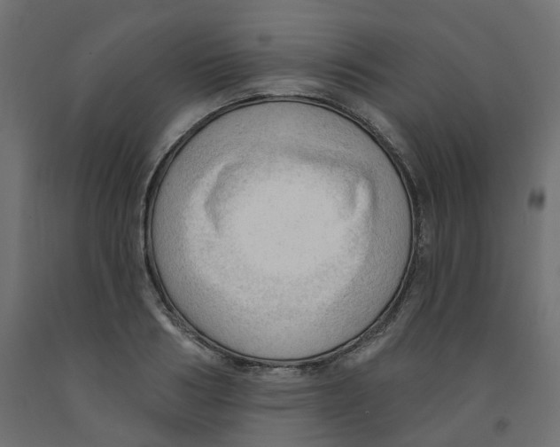 X0000091970986200710041045