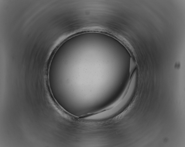 X0000091970989200710041045