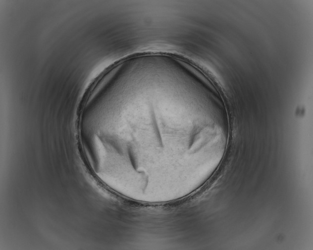 X0000091970990200710041045