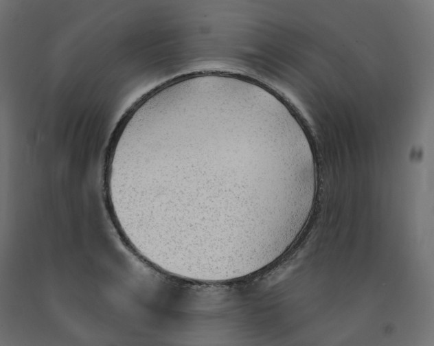 X0000091970991200710041045