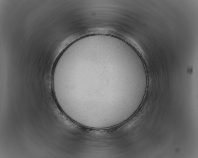 X0000091970994200710041045