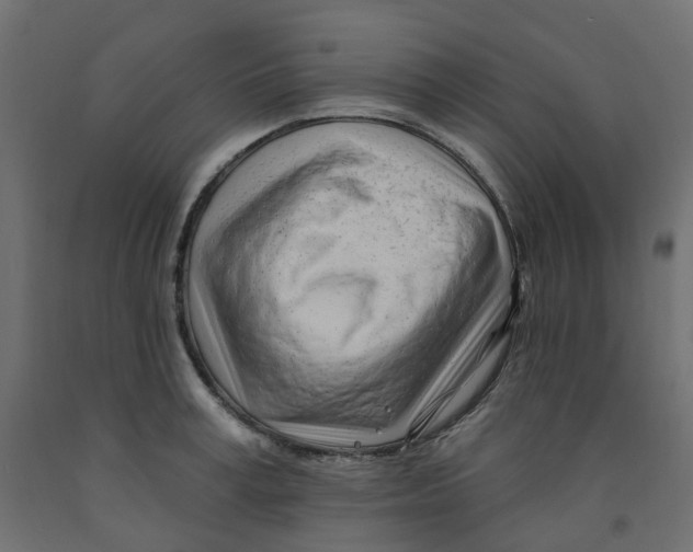 X0000091970995200710041045