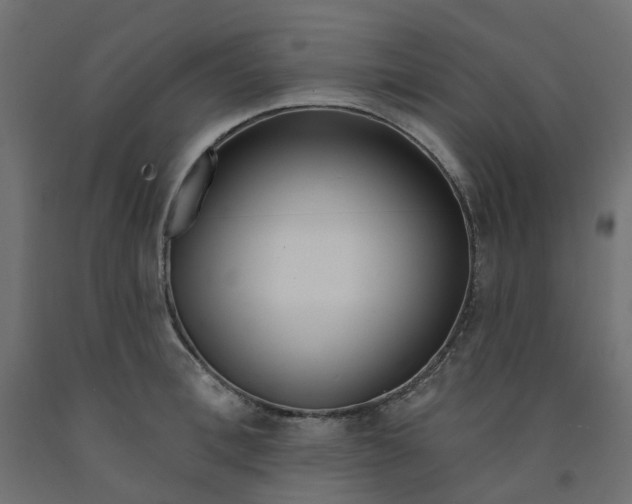X0000091970996200710041045