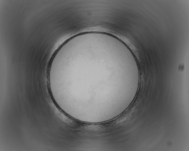X0000091970998200710041045