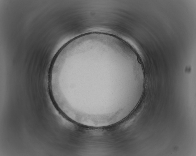 X0000091970999200710041045