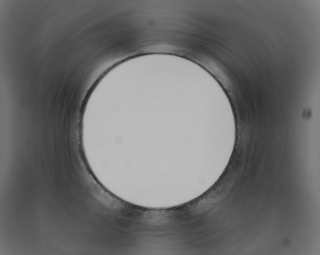 X0000091971000200710041045