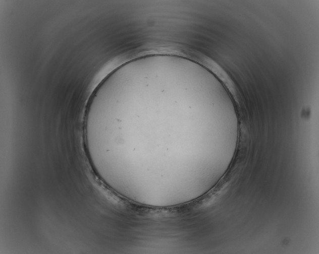 X0000091971002200710041045