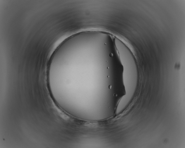 X0000091971006200710041045