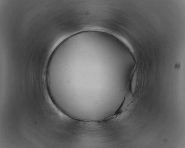 X0000091971007200710041045