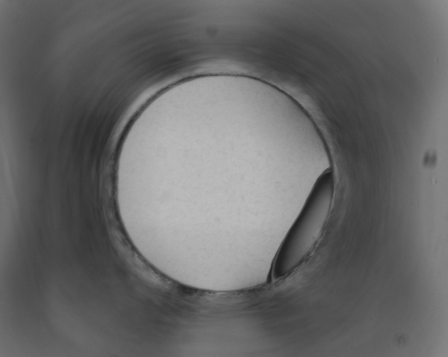 X0000091971008200710041045