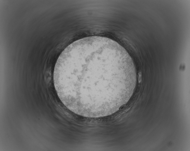 X0000091971011200710041044