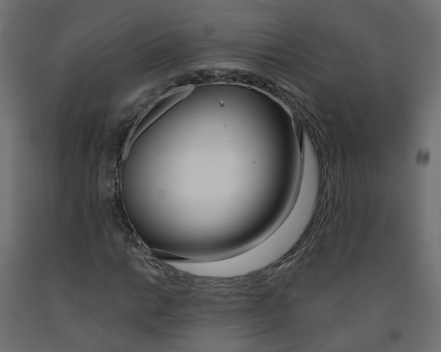 X0000091971014200710041044