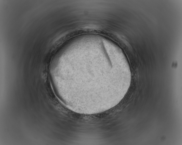 X0000091971015200710041044