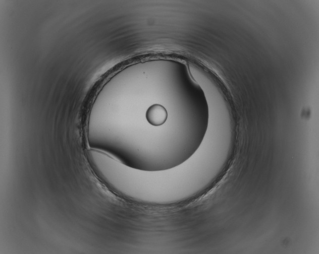 X0000091971018200710041044
