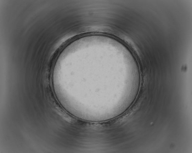 X0000091971019200710041044
