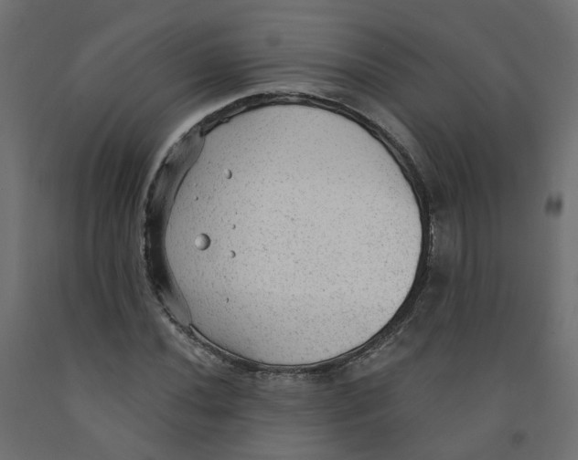 X0000091971020200710041044