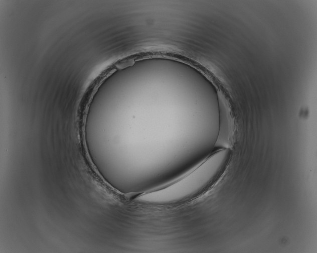 X0000091971022200710041044