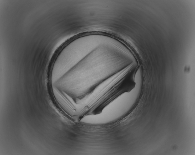 X0000091971024200710041044