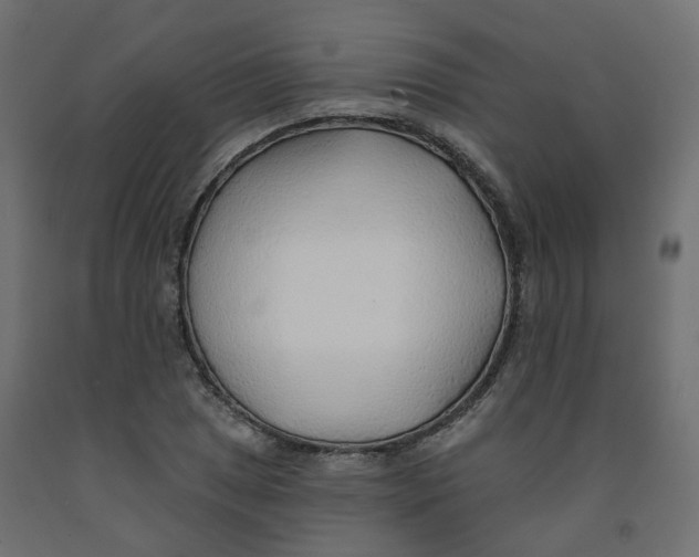 X0000091971025200710041044
